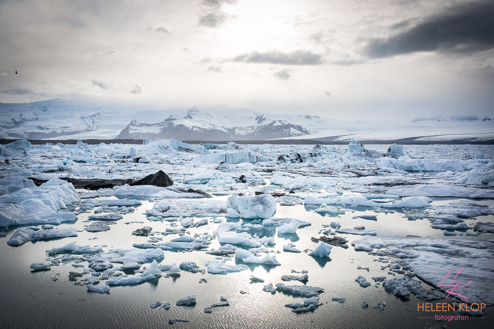 Gletsjermeer IJsland