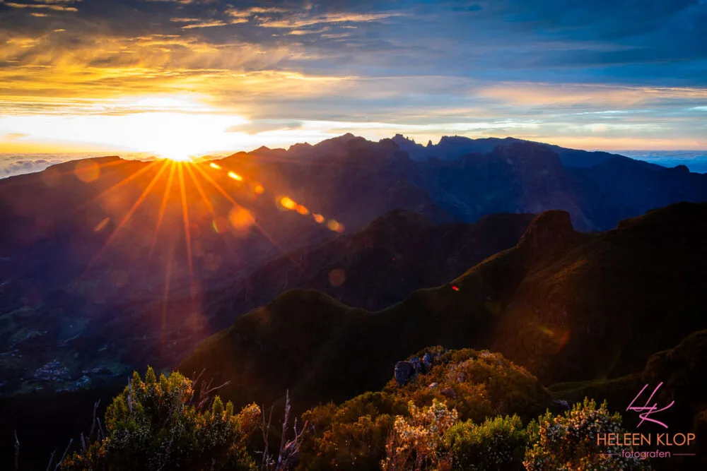 Madeira Bloemeneiland