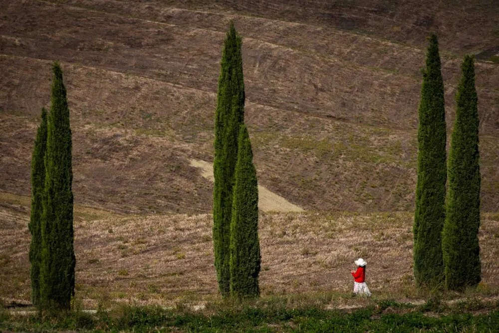 Loveshoot Toscane Cipressenlaan