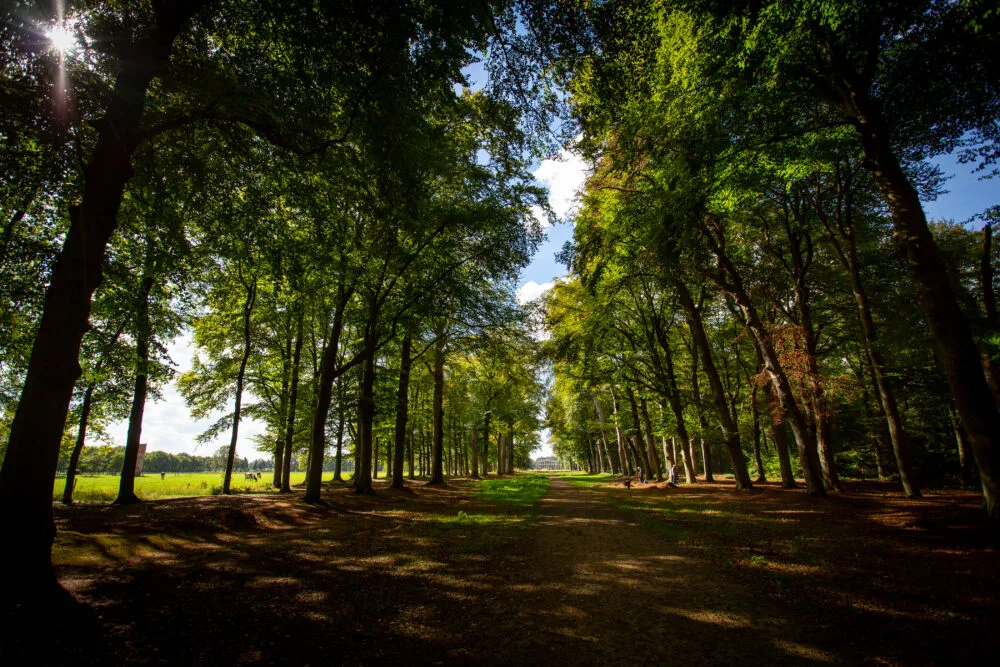 Parc Broekhuizen Leersum