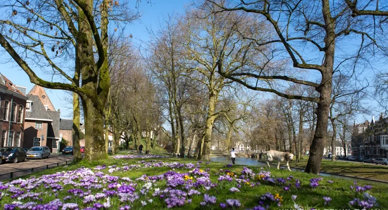 Zocherpark Utrecht