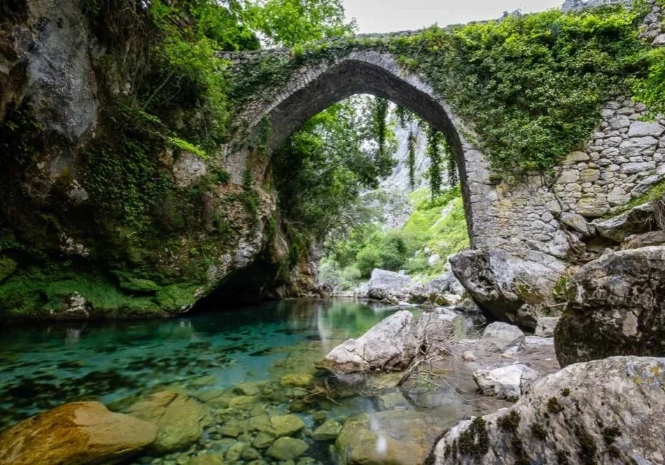 Picos De Europa Spanje Oude Brug