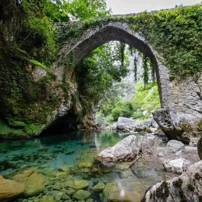 Picos De Europa Spanje Oude Brug