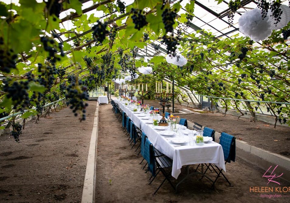 Trouwen op kasteel Hindersteyn