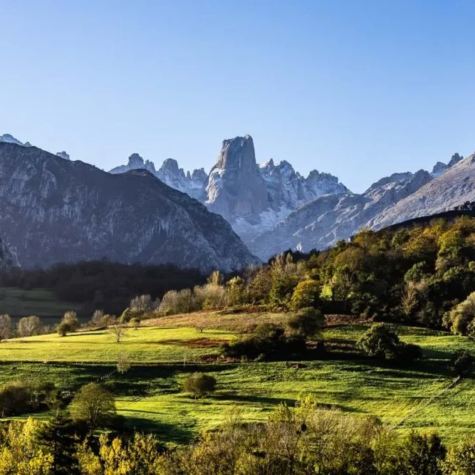 146 Picos De Europa 4657 LR