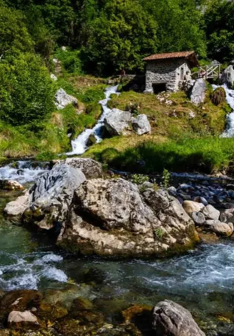 319 Picos De Europa 0768 6034 LR